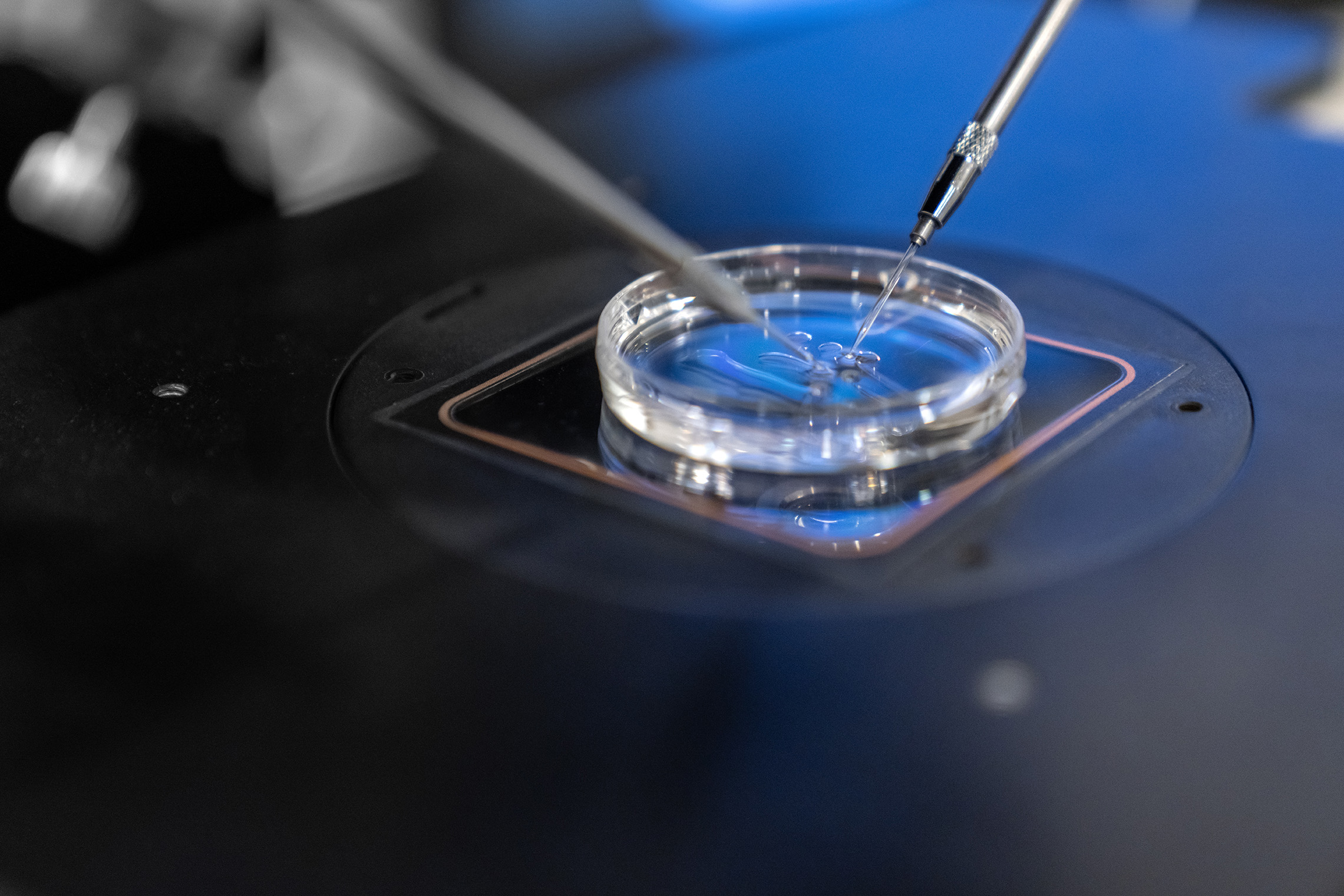 CAP Accreditation Boot camp for IVF Labs